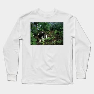 Little tomcat Robby Long Sleeve T-Shirt